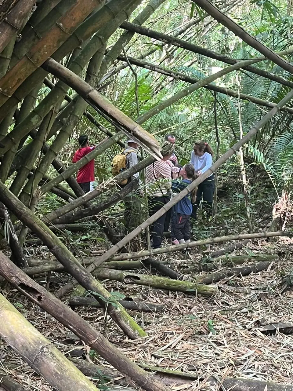 Rainforest Hiking Experience
