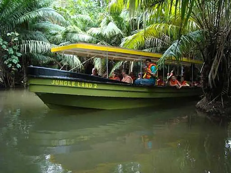 Jungle Land 2 boat among palm trees in a jungle channel