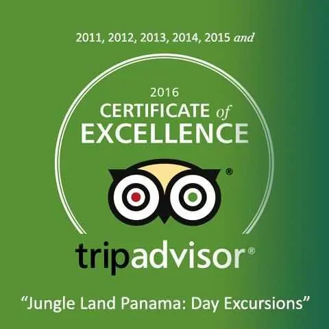 TripAdvisor Certificate of Excellence