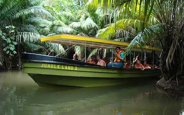 Jungle Canal Expedition