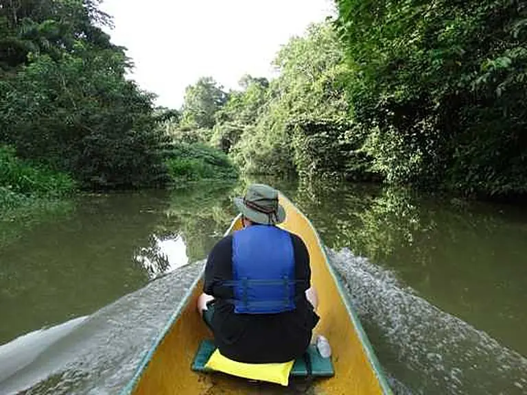 Jungle Canal Expedition