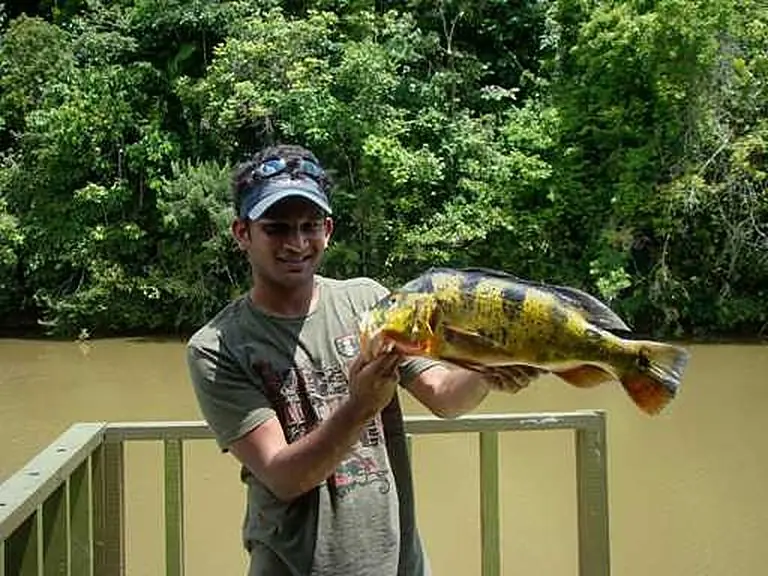 Panama Canal Fishing