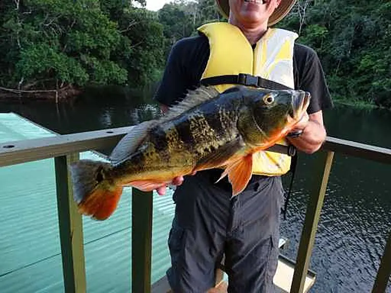 Panama Canal Fishing