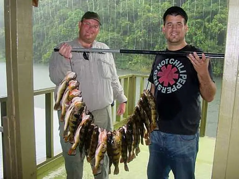 Panama Canal Fishing