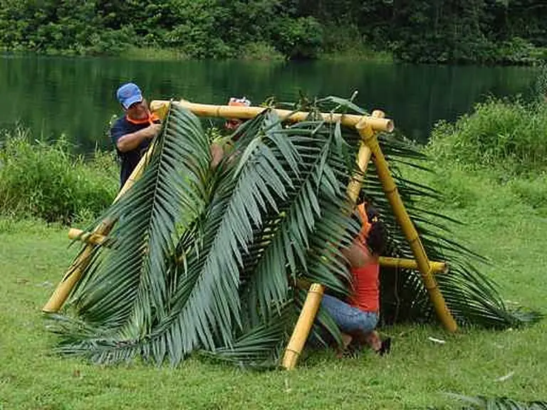 Groups & team building