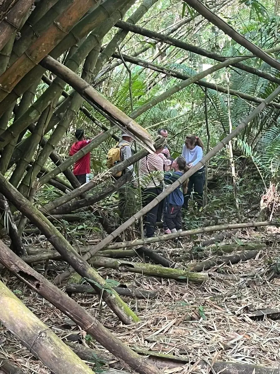 Hiking