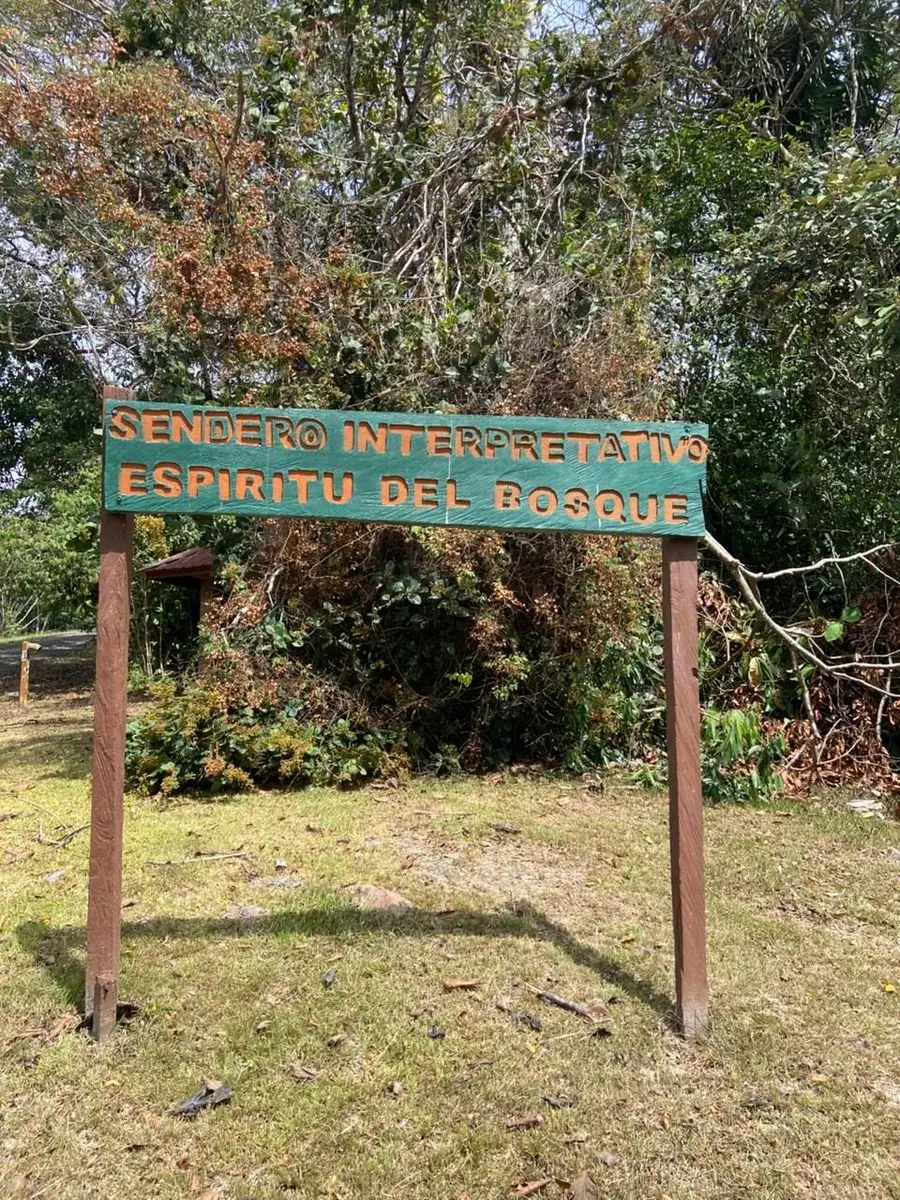Hiking