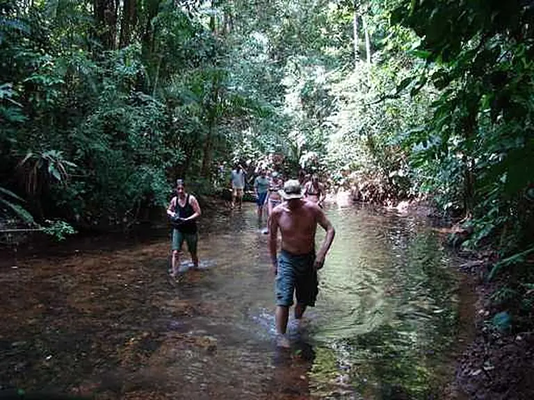 Hiking