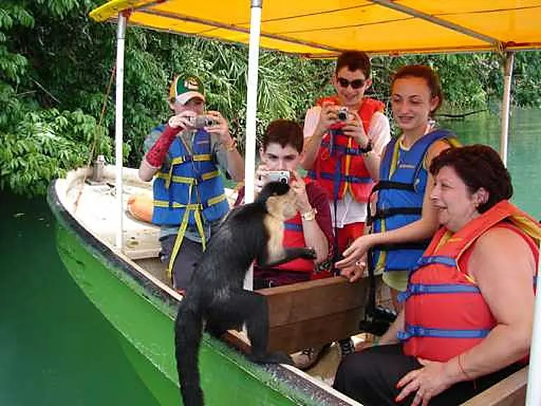 Monkeys