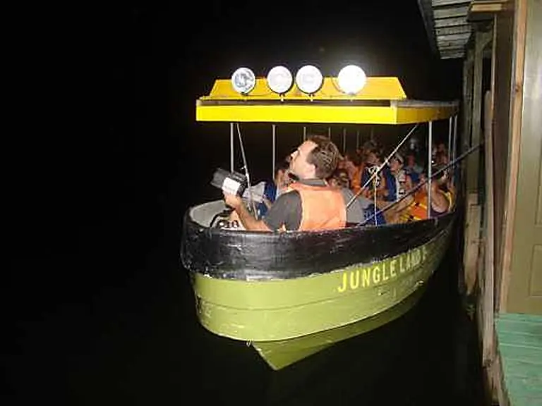 Night safari