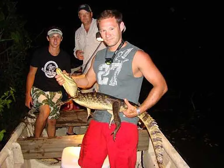 Night safari