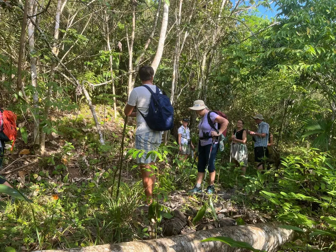 Rainforest Hiking Experience