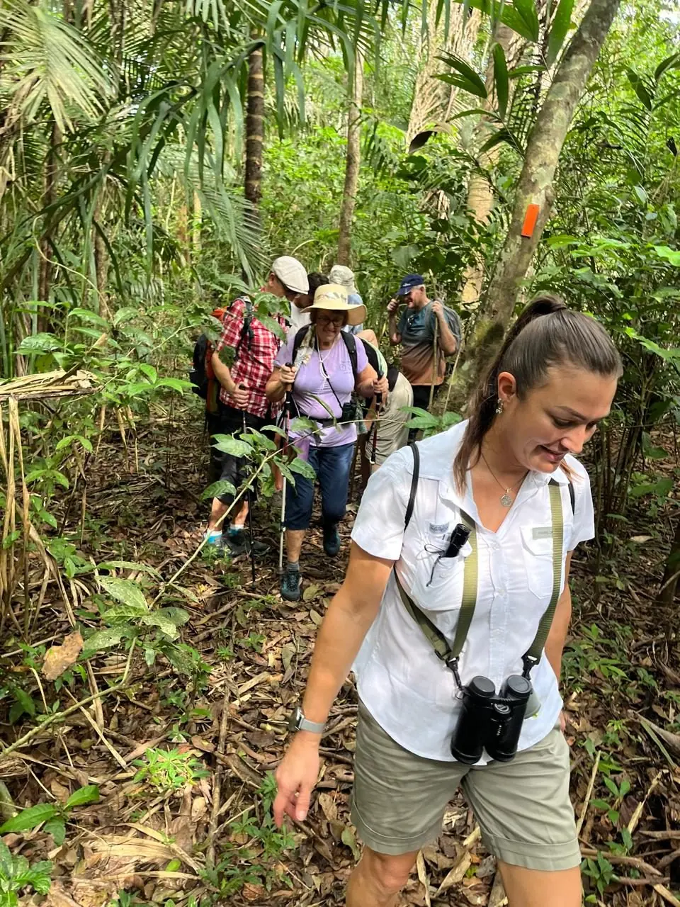Guide with binoculars leading a group along a rainforest trail