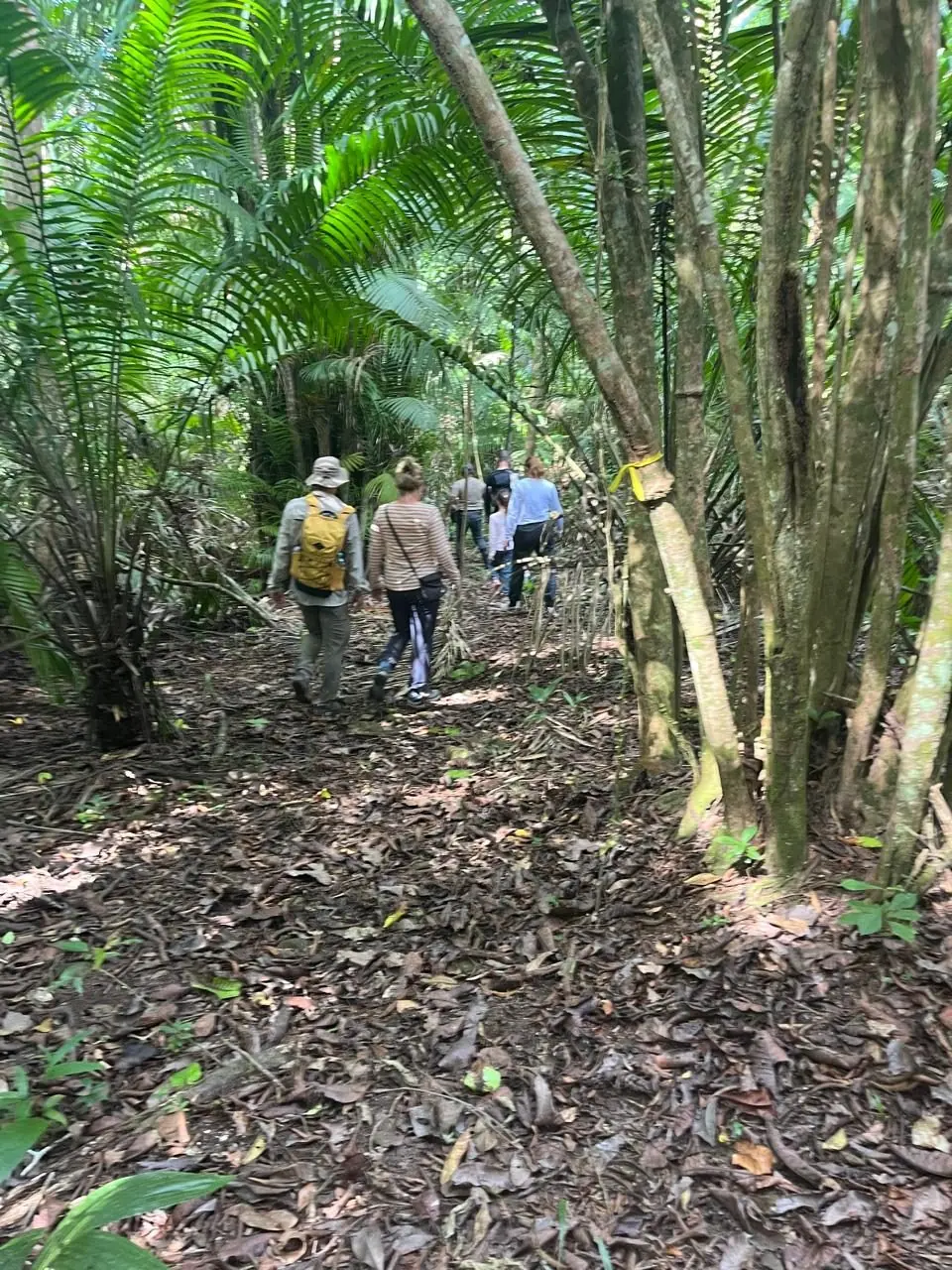 Hiking along a jungle trail