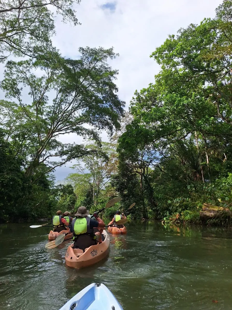 Jungle Kayaking Adventure