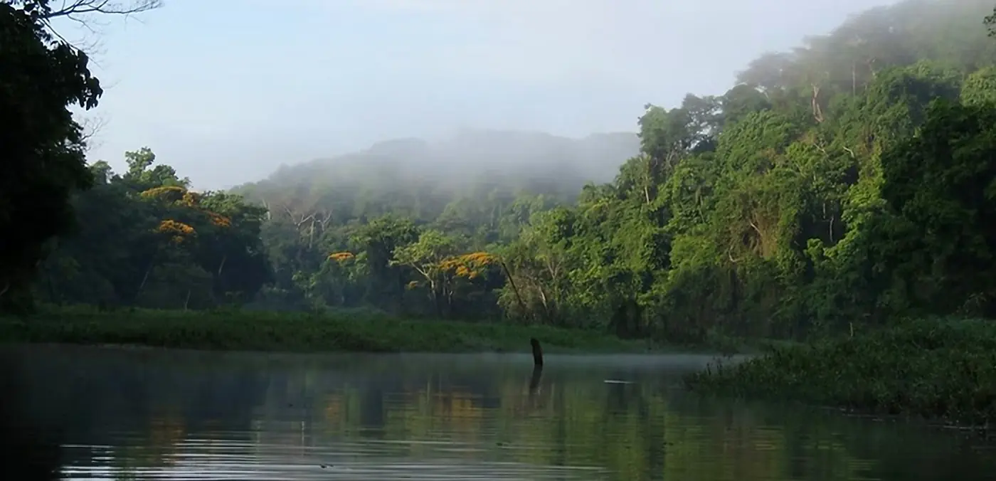 Gatun Lake with mist over the rainforest at dawn