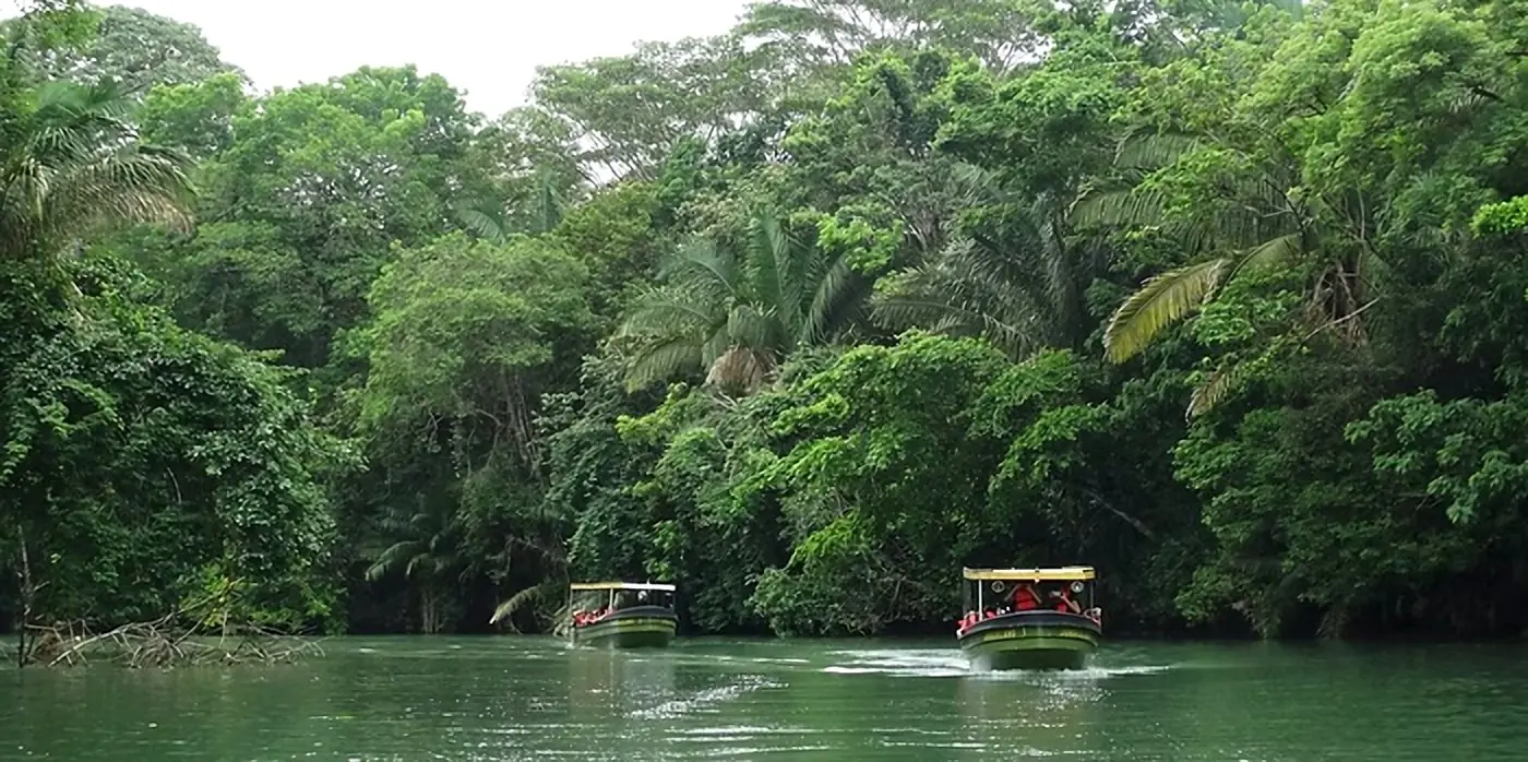 Two Jungle Land boats cruising a Canal channel